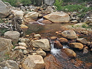 photo thumbnail #15