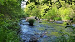 photo thumbnail #6