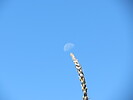 photo thumbnail #14