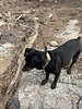 photo thumbnail #8