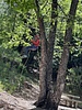 photo thumbnail #11