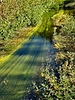 photo thumbnail #10