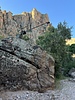 photo of comment