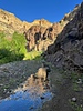 photo thumbnail #13