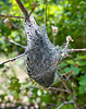 photo thumbnail #15