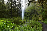 photo thumbnail #7