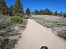 photo thumbnail #6