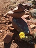 photo thumbnail #11