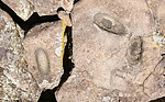 photo thumbnail #15