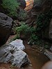 photo thumbnail #12