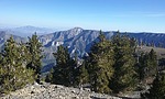 photo thumbnail #6