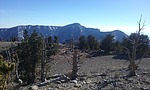 photo thumbnail #7