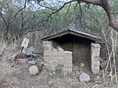 photo thumbnail #4