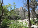 photo thumbnail #7