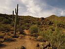photo thumbnail #6