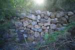 photo thumbnail #8