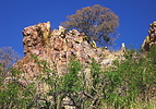 photo thumbnail #12