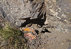photo thumbnail #15