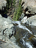 2003-04-10 :2: Parker Creek Trail #160 :: rwstorm