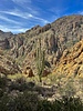 photo thumbnail #15