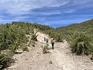 photo thumbnail #1