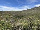 photo thumbnail #3