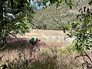 2022-05-28 :2: Saddle Mountain Trail to Squaw Flat :: jacobemerick