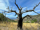 photo thumbnail #7