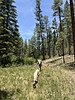 photo thumbnail #6