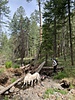 photo thumbnail #5