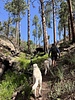 photo thumbnail #11