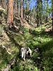 photo thumbnail #7