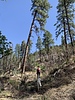 photo thumbnail #12