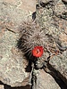 photo thumbnail #11