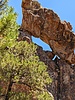 photo thumbnail #8