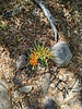 photo thumbnail #2