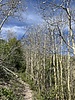 photo thumbnail #5