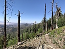 photo thumbnail #6