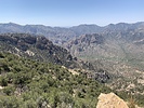 photo thumbnail #3