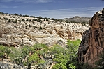 photo thumbnail #9