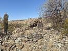 photo thumbnail #3