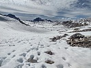 photo thumbnail #8