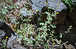 2022-06-03 :1: Super Trail #134 :: rwstorm