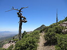 photo thumbnail #3