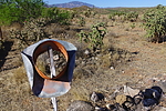 photo thumbnail #3