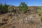 photo thumbnail #6