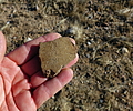 photo thumbnail #7
