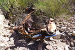 photo thumbnail #12