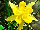 photo thumbnail #11