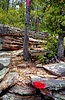 photo thumbnail #8